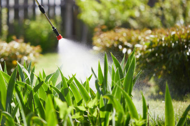 Tamper-Resistant Bait Stations for Rodents in Hico