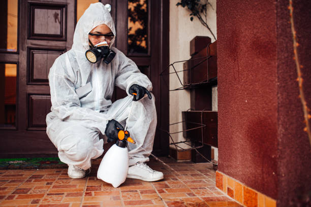 Attic and Crawl Space Rodent Treatment in Hico